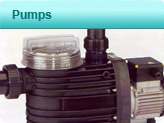 Pumps