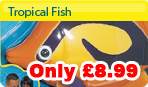 Tropical Fish Offer Tropical Fish Offer