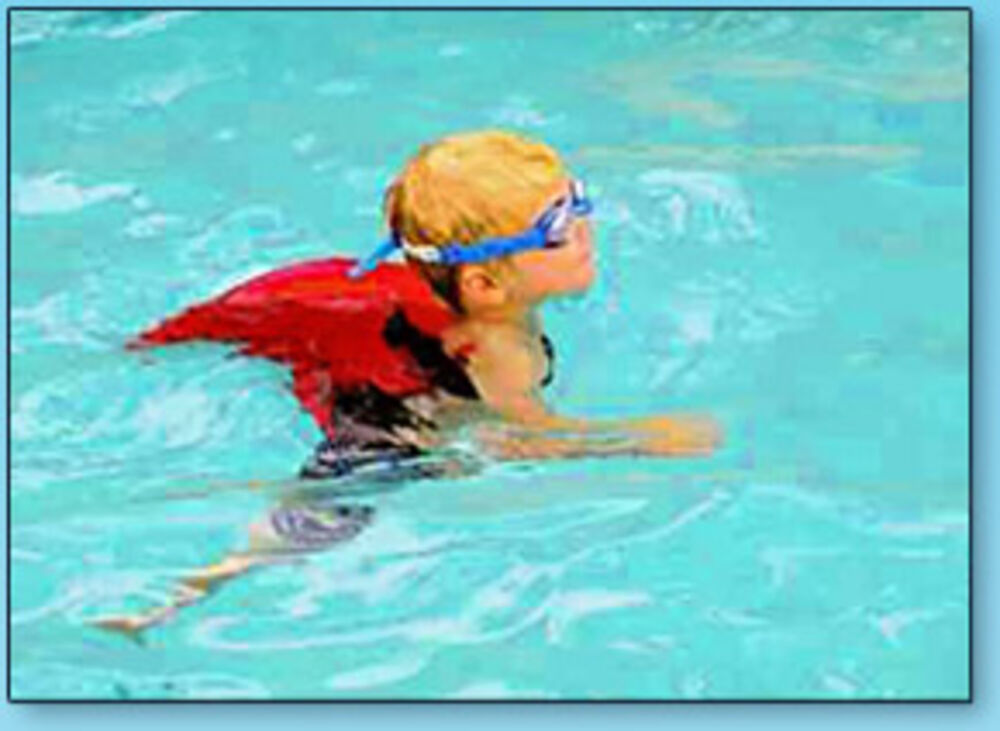Swimfin Training Aid