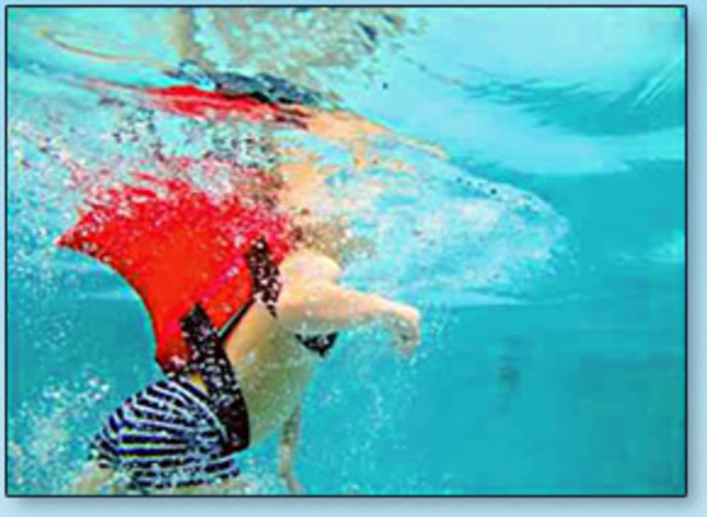 Swimfin Training Aid