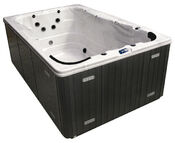 Dynasty AquEx 12' Swim Spa