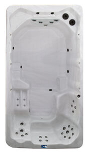 Dynasty AquEx 14' Swim Spa
