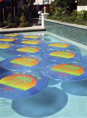 Solar Sun Rings