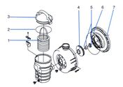 Dynamo Pump