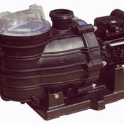 Sta-rite Dyna-Glas 5MPR swimming pool pump