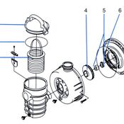 Dynamo Pump