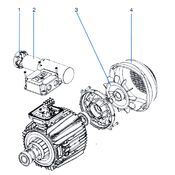 Sta rite Current  ATP Motor.jpg