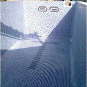 Signature Trainer Pool