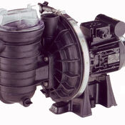 Sta-Rite 5P2R Swimming pool Pump