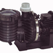 Sta-Rite 5P6R Swimming Pool Pump