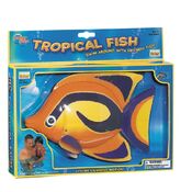 Swimming Pool Tropical fish