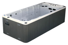 Dynasty AquEx 16' Swim Spa
