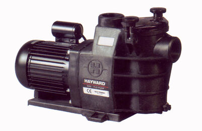 Hayward_Maxflow.jpg