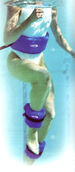 Water Aerobics using boby belt and ankle bands