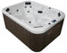 Telluride sideview Dynasty Hot Tub
