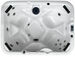 Ex Demo Telluride Dynasty Hot Tub