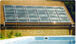 Bank of Suncell Panels on roof