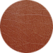 Brown Rigid Cover