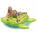 Lazy Turtle Rider