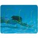 Swimming Pool Deluxe Underwater Slalom Hoops