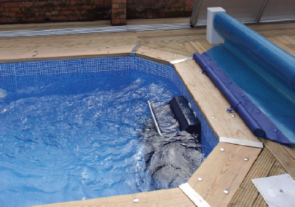 Dolphin wooden pool