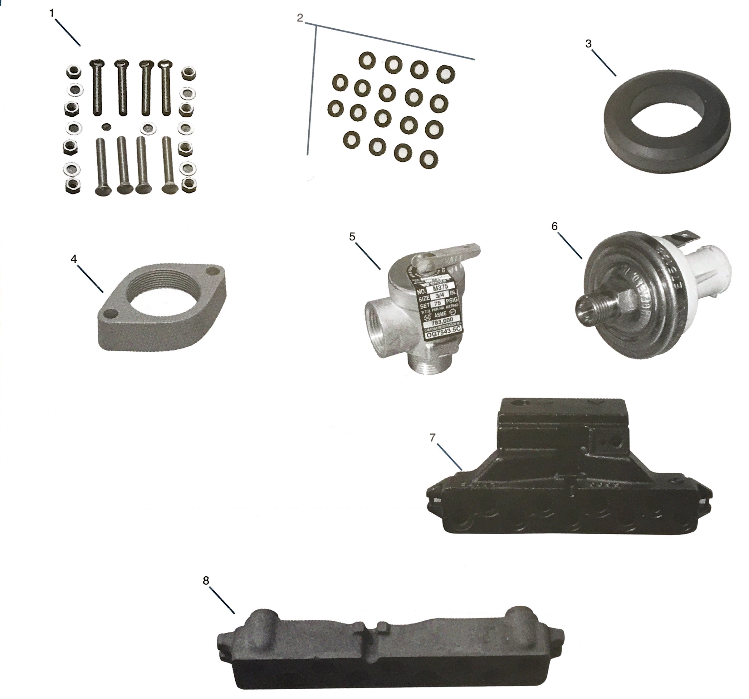 Jandy heating Parts Diagram