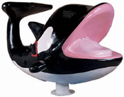 Interactive killer whale