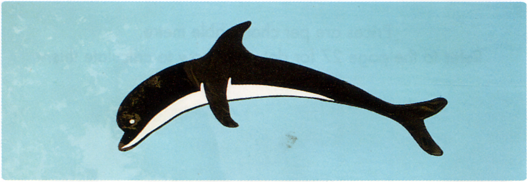 Dolphin motif