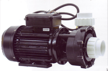 WP200 II Pump dual speed 2HP  Chinese 