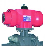 Pneumatic butterfly valves