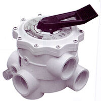 Hayward 715 2in Variflo Mul