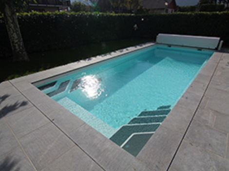 Swimming Pools In Ground Pools Above Ground Pools From Dolphin Leisure The Pool Spa Specialists