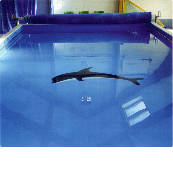 Dolphin motif in pool