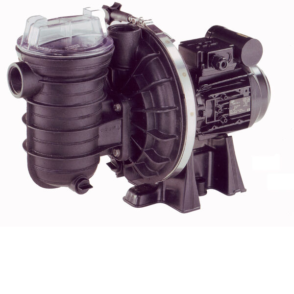 Sta-Rite 5P2R Swimming pool Pump